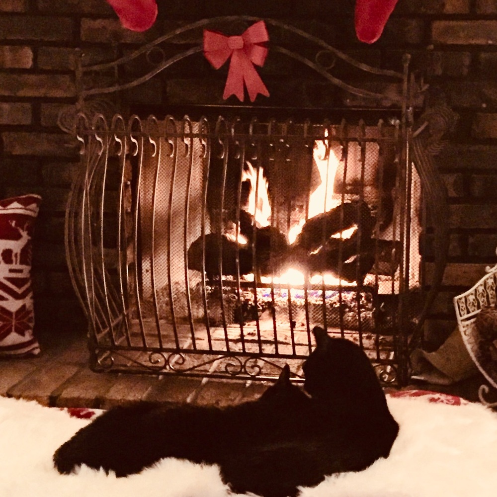 Meet your Posher, Becky